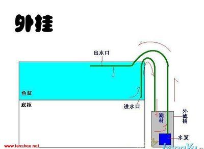 魚缸濾桶進出水怎么安裝：如何選擇魚缸過濾器，魚缸過濾水槽選購技巧 魚缸百科 第3張
