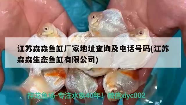 森森生態(tài)魚(yú)缸廠家地址：江蘇森森生態(tài)魚(yú)缸廠家地址 魚(yú)缸百科 第1張