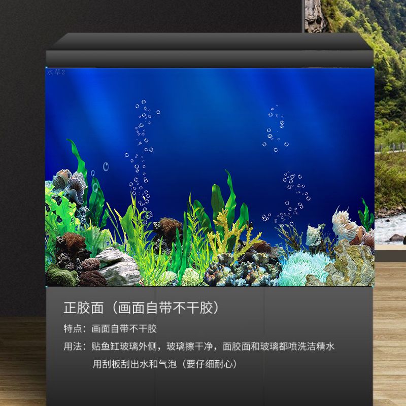 魚(yú)缸背景貼紙有什么用：魚(yú)缸背景貼紙如何選擇魚(yú)缸背景貼紙?zhí)嵘^賞性和美觀 魚(yú)缸百科 第3張