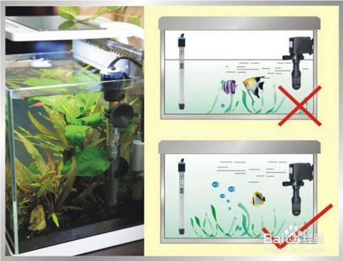 魚缸寵物加熱墊怎么使用視頻：魚缸寵物加熱墊使用方法 魚缸百科 第1張