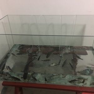 深圳魚之家魚缸怎么樣：深圳魚之家魚缸評價(jià)：魚之家魚缸的設(shè)計(jì)靈感來源 魚缸百科 第1張