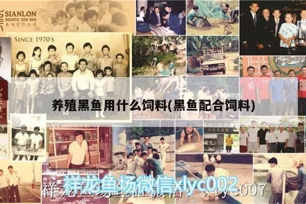 金龍魚50公分還能爬嗎：金龍魚50公分長(zhǎng)能爬到魚缸底部嗎？ 水族問(wèn)答