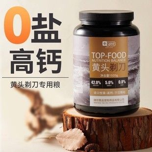 豬鼻龜喂食器：豬鼻龜怎么喂食 豬鼻龜百科 第4張