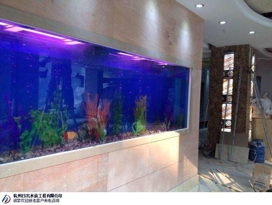 馬鞍山龍魚專賣店：安徽馬鞍山龍魚專賣店(馬鞍山哪里有賣魚缸的實(shí)體店鋪 全國觀賞魚市場 第5張