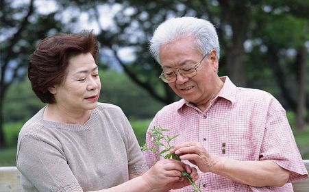 招財戰(zhàn)船魚混養(yǎng)注意事項：招財魚混養(yǎng)水質管理技巧 龍魚百科 第2張