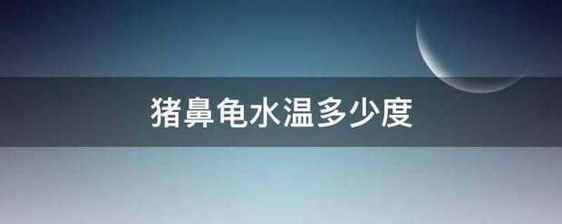 豬鼻龜20度會死嗎：豬鼻龜干養(yǎng)一天會死嗎 豬鼻龜百科 第8張