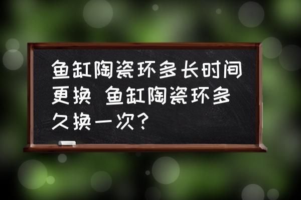 魚缸裝飾物維護周期：魚缸裝飾物的維護周期 魚缸百科 第1張