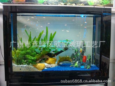 歐寶魚缸是品牌的嗎多少錢一個：歐寶魚缸品牌價格從幾百到幾千甚至上萬都有 魚缸百科 第5張