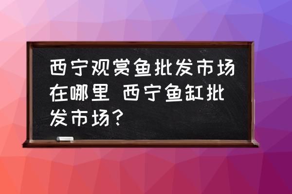 西寧觀賞魚(yú)批發(fā)市場(chǎng)：西寧錦鯉觀賞魚(yú)批發(fā)市場(chǎng) 全國(guó)觀賞魚(yú)市場(chǎng) 第6張