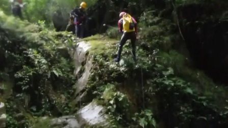 豬鼻龜交流群：豬鼻龜交流群可以為豬鼻龜愛好者可以為豬鼻龜愛好者提供一個(gè)交流 豬鼻龜百科 第5張