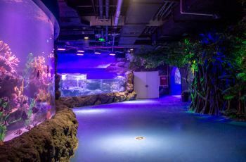 宜賓水族館：宜賓水族館宜賓水族館 全國觀賞魚市場 第7張