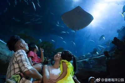 百色水族館：廣西百慕大水族館百色水族館開放時間評價百色水族館