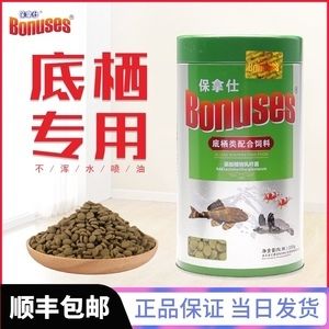 豬鼻龜招財(cái)嗎圖片：豬鼻龜在文化上被認(rèn)為能夠帶來(lái)財(cái)運(yùn)和吉祥物轉(zhuǎn)運(yùn)旺財(cái) 豬鼻龜百科 第4張