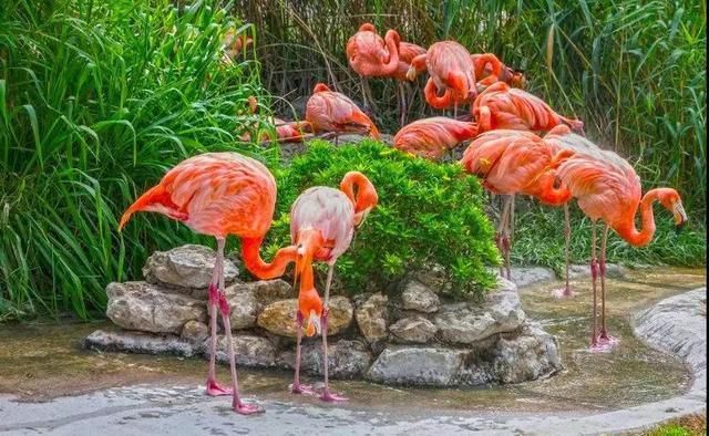 甘孜藏族自治州水族館：甘南藏族自治州博物館