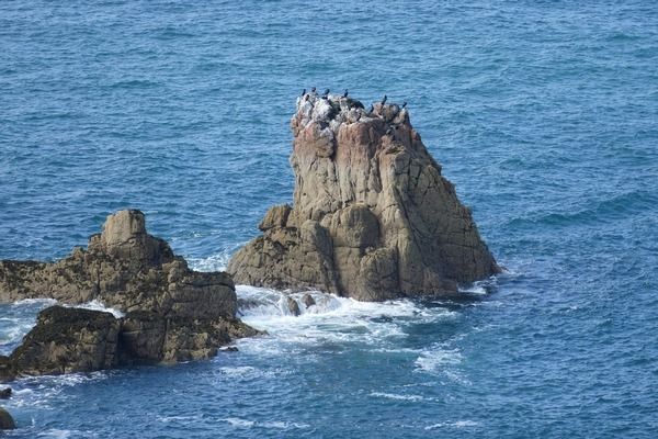 南充魚缸批發(fā)市場：南充最大海鮮魚缸批發(fā)市場在哪里 全國觀賞魚市場 第6張