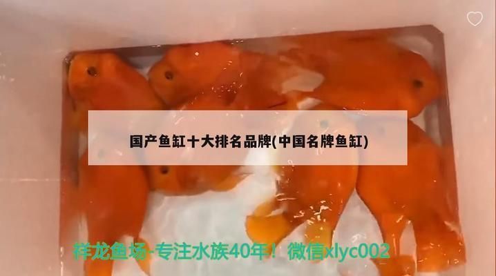 國內品牌魚缸排名第一：國內品牌魚缸排名第一的是森森魚缸 魚缸百科 第3張