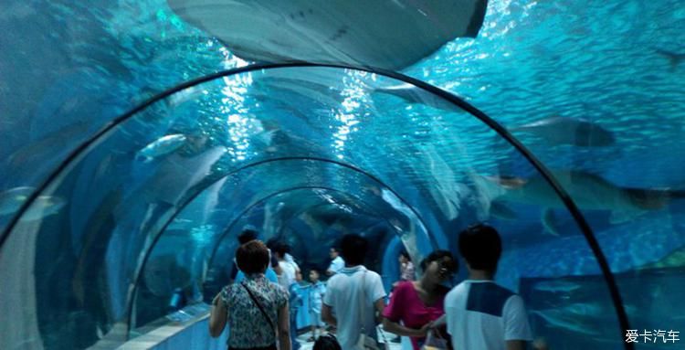 蘇州水族館：蘇州旅游攻略之蘇州海洋館