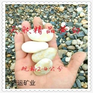 內(nèi)江魚缸批發(fā)市場：內(nèi)江魚缸批發(fā)市場在哪個位置 全國觀賞魚市場 第3張