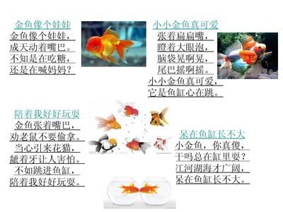 魚(yú)缸 作文：描寫(xiě)魚(yú)缸的作文示例 魚(yú)缸百科 第4張