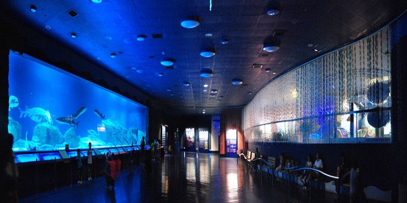 綏化水族館：綏化市北林區(qū)千湖水族館綏化市北林區(qū)千湖水族館旅游指南 全國(guó)觀賞魚市場(chǎng) 第2張