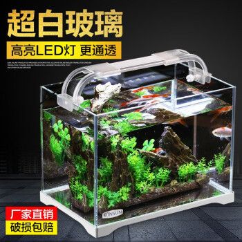 佳璐魚缸：佳璐魚缸與競品對(duì)比分析 魚缸百科 第3張