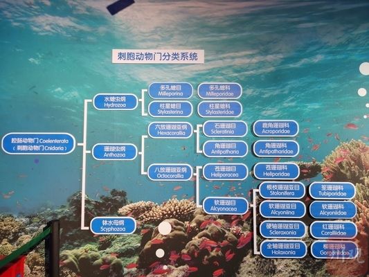 資陽水族館 全國觀賞魚市場 第3張