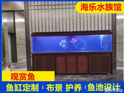 海樂魚缸：海樂魚缸怎么樣 魚缸百科 第4張