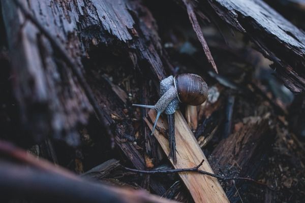 海樂魚缸：海樂魚缸怎么樣 魚缸百科 第3張