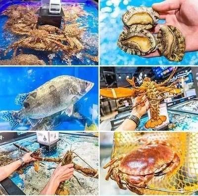 福州水族批發(fā)市場：福州水族批發(fā)市場介紹