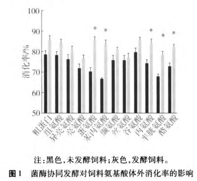 金龍魚不養(yǎng)了怎么處理好：金龍魚不養(yǎng)了怎么辦 水族問答