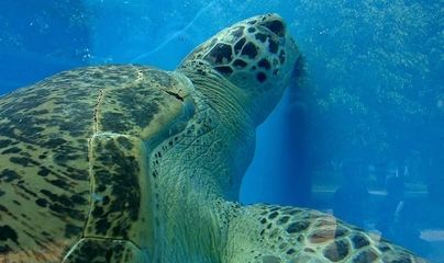 南寧水族館