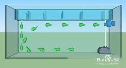 魚缸水溫異常的處理方法：如何自然調(diào)節(jié)魚缸水溫