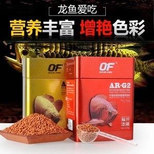 印尼小紅龍魚天然餌料推薦：印尼小紅龍魚喂食頻率研究，小紅龍魚飼料與活餌對(duì)比 紅龍魚百科 第1張