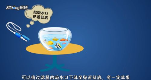 歐寶魚缸怎么清洗：如何清洗歐寶魚缸 魚缸百科 第5張