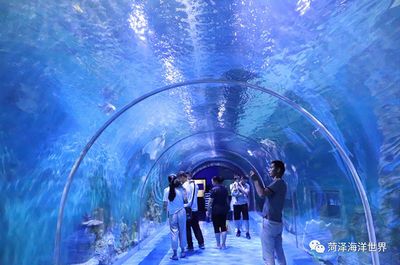 菏澤水族館：菏澤市水族館