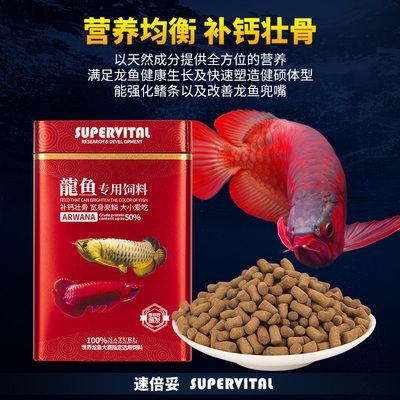 金龍魚飼料增色增紅效果：關(guān)于金龍魚飼料增色增紅效果的詳細(xì)分析