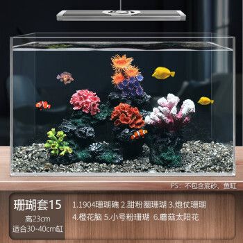 珊野魚缸：珊野魚缸的養(yǎng)殖方法、飼養(yǎng)技巧、飼養(yǎng)技巧以及注意事項 魚缸百科 第1張