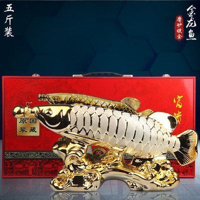 龍魚鯊魚嘴是什么樣子：如何鑒別高品質(zhì)金龍魚，龍魚鯊魚嘴的市場價值 龍魚百科 第2張