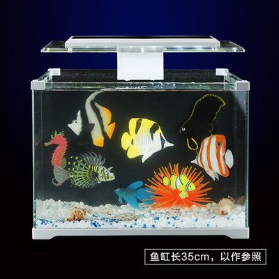 森森水族箱魚缸價(jià)格：森森水族箱適合養(yǎng)哪些魚類 魚缸百科 第3張