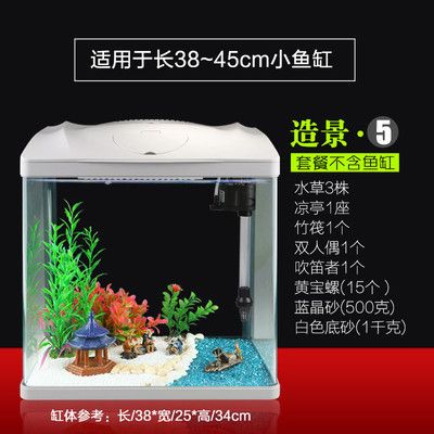 森森水族箱魚缸價(jià)格：森森水族箱適合養(yǎng)哪些魚類 魚缸百科 第5張