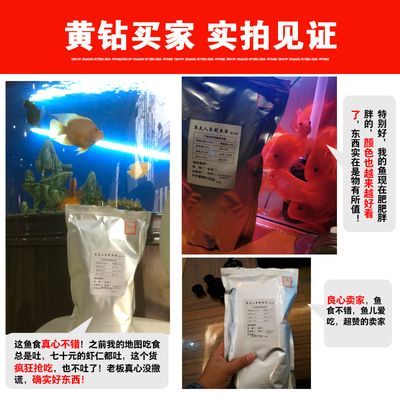 金龍魚吃螞蚱好嗎：金龍魚可以吃螞蚱嗎？ 水族問答 第2張