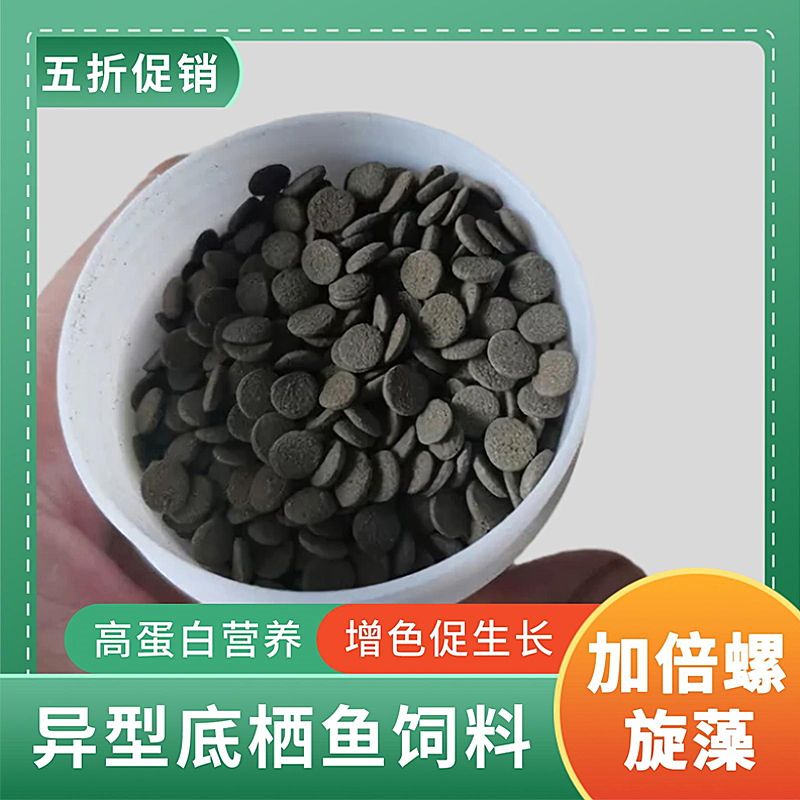 招財(cái)貓魚苗飼料自制方法：招財(cái)貓魚苗飼料營(yíng)養(yǎng)搭配指南 龍魚百科 第1張