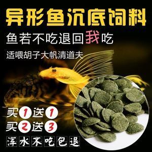 招財(cái)貓魚苗飼料自制方法：招財(cái)貓魚苗飼料營(yíng)養(yǎng)搭配指南 龍魚百科 第4張