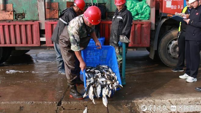 金龍魚吃什么食物長大：金龍魚吃什么食物長大，金龍魚的主要吃什么食物長大 水族問答 第1張