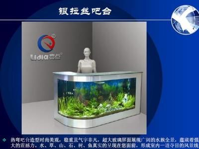 亮點魚缸售后電話是多少：亮點魚缸維修預約 魚缸百科 第4張