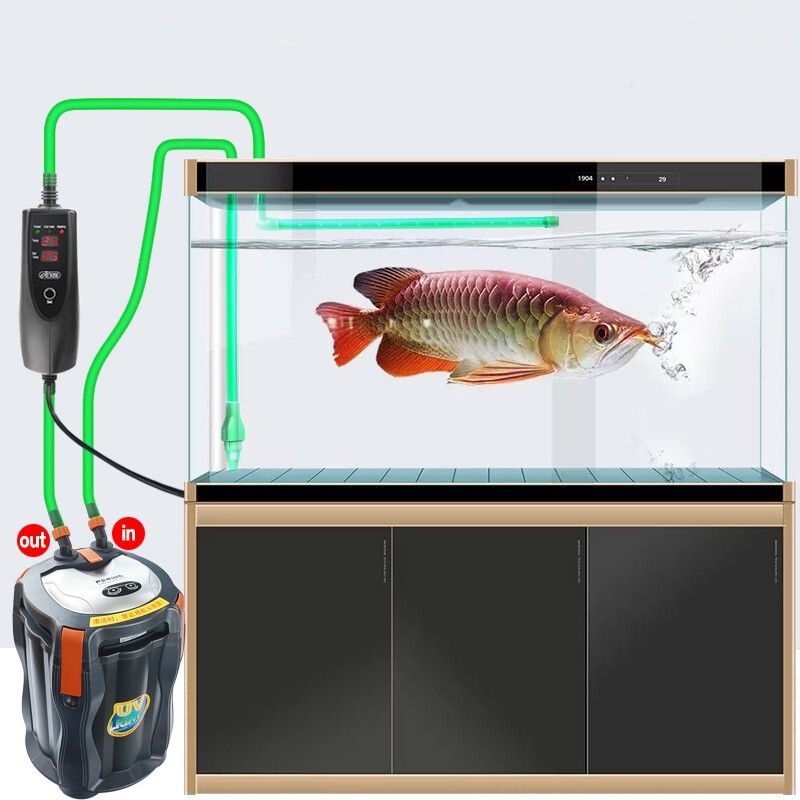 魚缸加熱器顯示ll：如何正確設(shè)置魚缸加熱器量程 魚缸百科 第1張