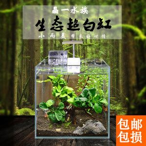 晶一魚缸：晶一魚缸優(yōu)惠活動，晶一魚缸用戶養(yǎng)護(hù)心得 魚缸百科 第1張