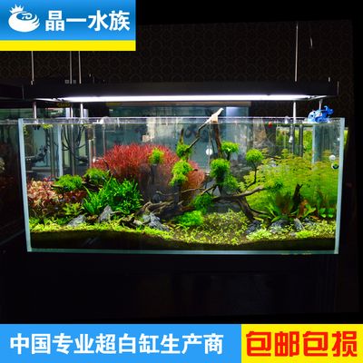 晶一魚缸：晶一魚缸優(yōu)惠活動，晶一魚缸用戶養(yǎng)護(hù)心得 魚缸百科 第3張