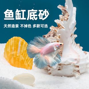 威畢魚缸