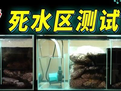 魚(yú)缸底濾使用方法：如何正確安裝和使用魚(yú)缸底濾 魚(yú)缸百科 第5張